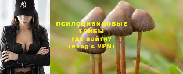 mdma Медвежьегорск