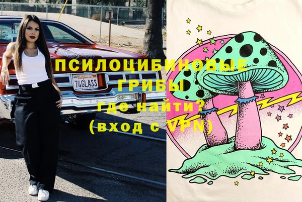 mdma Медвежьегорск
