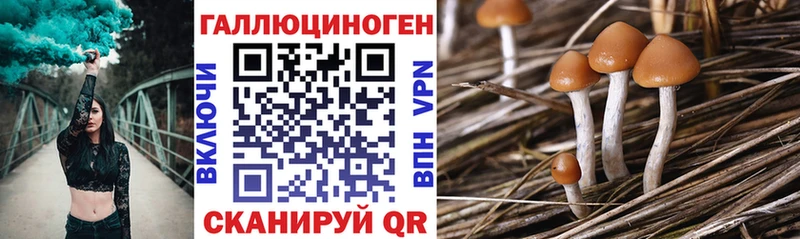 блэк спрут зеркало  Дзержинск  Галлюциногенные грибы ЛСД 
