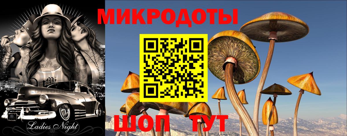 Галлюциногенные грибы мухоморы  Вход с VPN  Дзержинск 