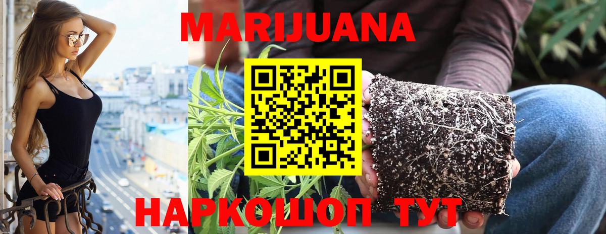 Марихуана планчик Дзержинск